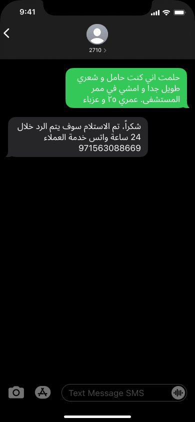 مثال رد المفسر