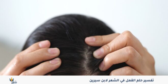 تفسير حلم القمل في الشعر لابن سيرين
